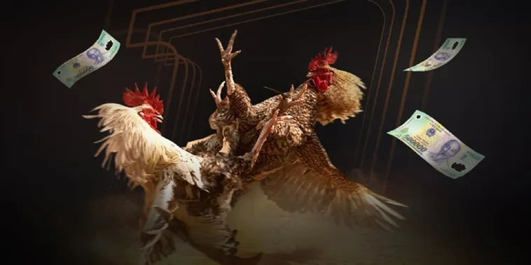 Đá Gà F8Bet 1 Tham Gia Đá Gà F8Bet Trực Tiếp Thưởng Lớn Ngay Hôm Nay