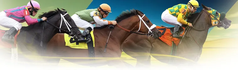 Cá Cược Đua Ngựa F8Bet Thắng Lớn Với Chiến Thuật Đỉnh Cao 1 Cá Cược Đua Ngựa F8Bet Thắng Lớn Với Chiến Thuật Đỉnh Cao