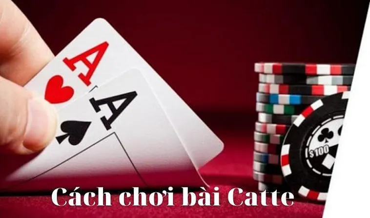 Chinh Phục Sắc Tê F8Bet Dễ Dàng Với Hướng Dẫn Toàn Tập Cho Tân Thủ 1 Chinh Phục Sắc Tê F8Bet Dễ Dàng Với Hướng Dẫn Toàn Tập Cho Tân Thủ